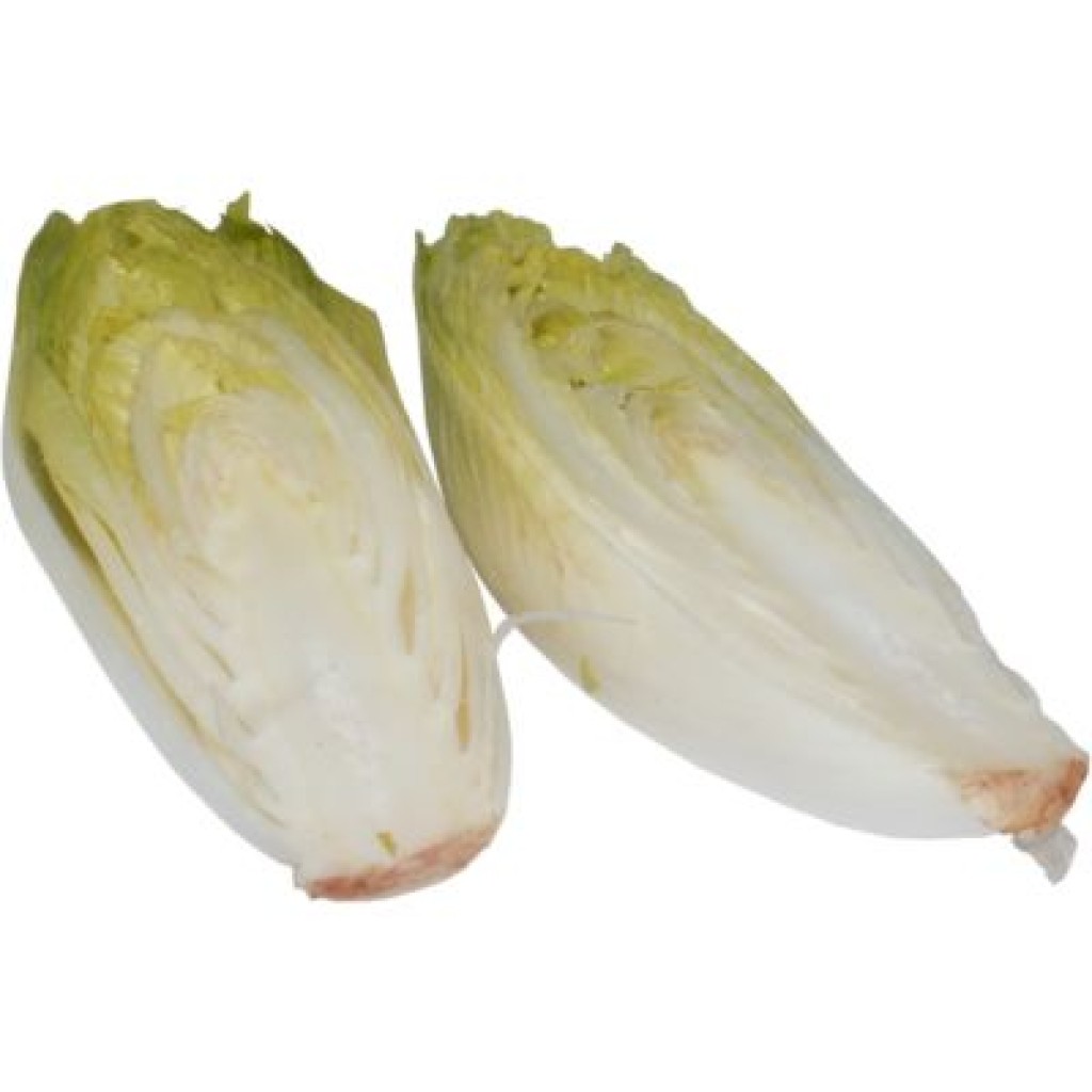 White Chicory